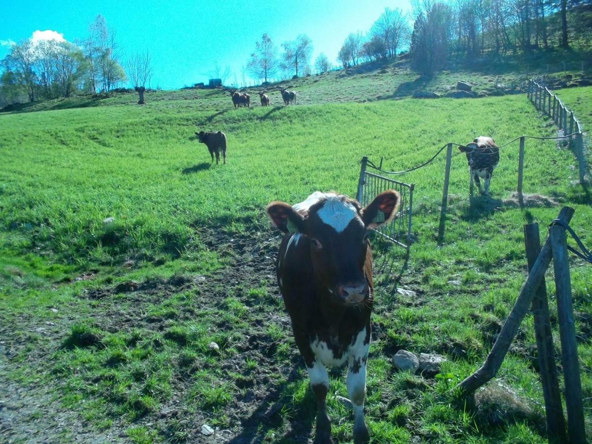 Mo Gardsferie-Pers Frukthage Villa Oystese Bagian luar foto