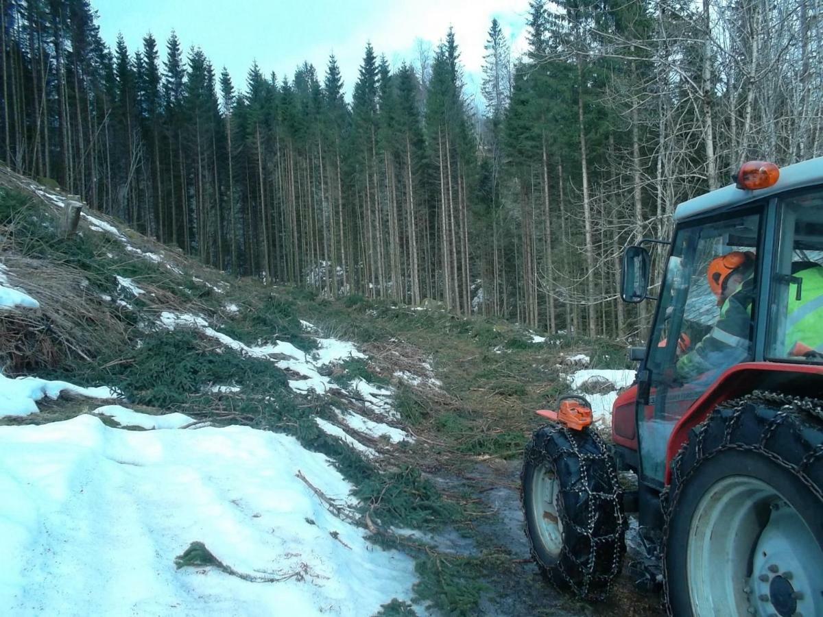 Mo Gardsferie-Pers Frukthage Villa Oystese Bagian luar foto